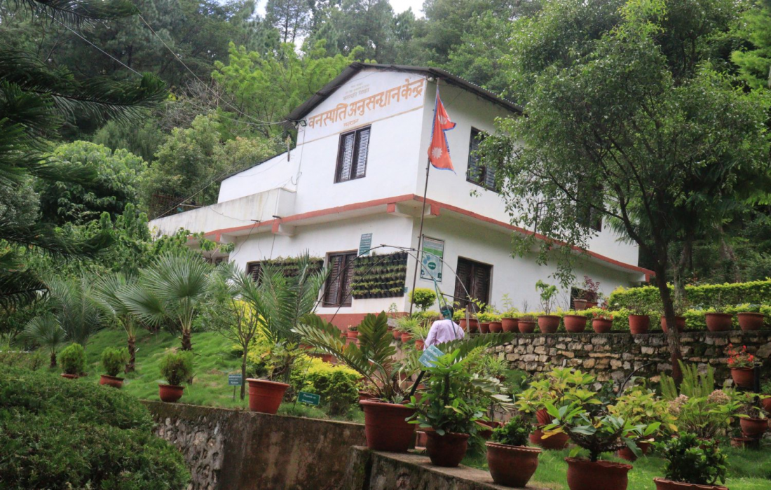 Radio Sarada
